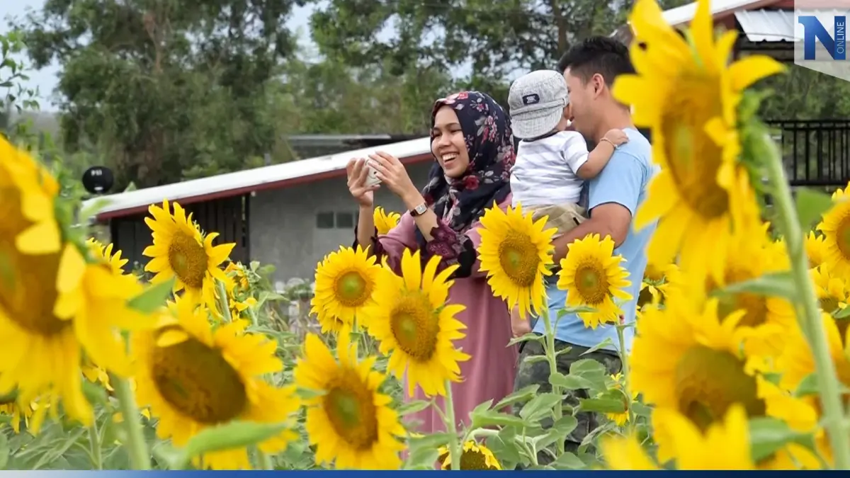 อดีตครูผันตัวเป็นเกษตรกร ทำสวนผสม ทุ่งทานตะวันจุดเช็คอินใหม่ อดีตครูผันตัวเป็นเกษตรกร ทำสวนผสม ทุ่งทานตะวันจุดเช็คอินใหม่