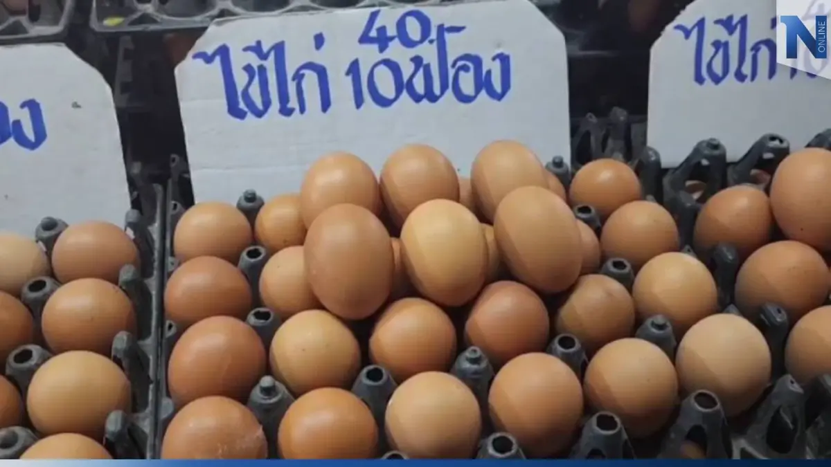 ร้านค้าปลีกไข่ไก่ "ยังไม่ปรับราคาขึ้น" ตามประกาศ เหตุยังเป็นสต๊อกเก่า