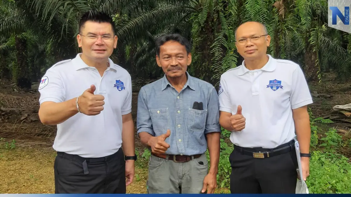 ส่องเทคนิคทำสวนปาล์มคุณภาพ เพิ่มอินทรียวัตถุจากทางใบลดต้นทุนใช้ปุ๋ยเคมี ส่องเทคนิคทำสวนปาล์มคุณภาพ เพิ่มอินทรียวัตถุจากทางใบลดต้นทุนใช้ปุ๋ยเคมี