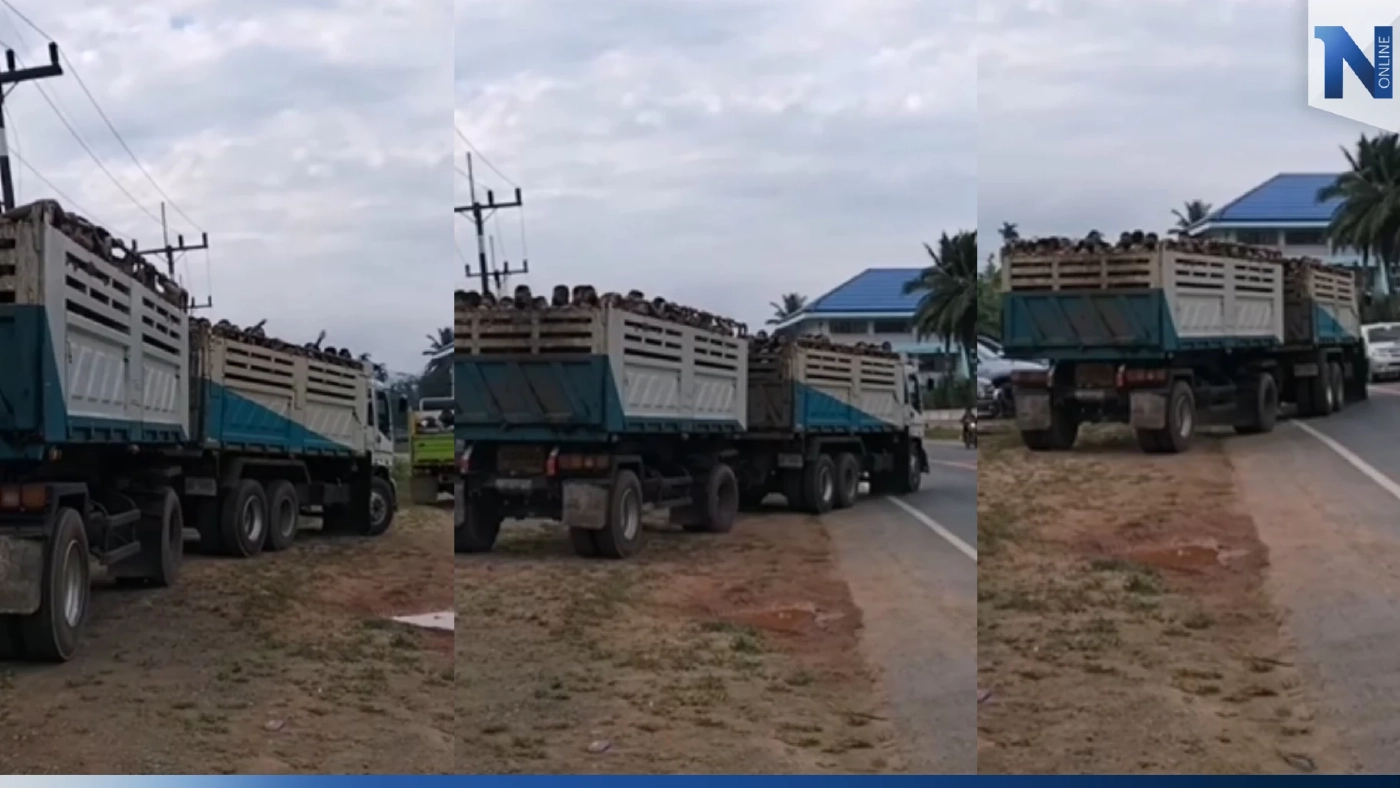 ดราม่าหนัก รร.ดังเมืองคอน ใช้รถพ่วง 18 ล้อ ขน นร. ไปเข้าค่ายลูกเสือ (มีคลิป)