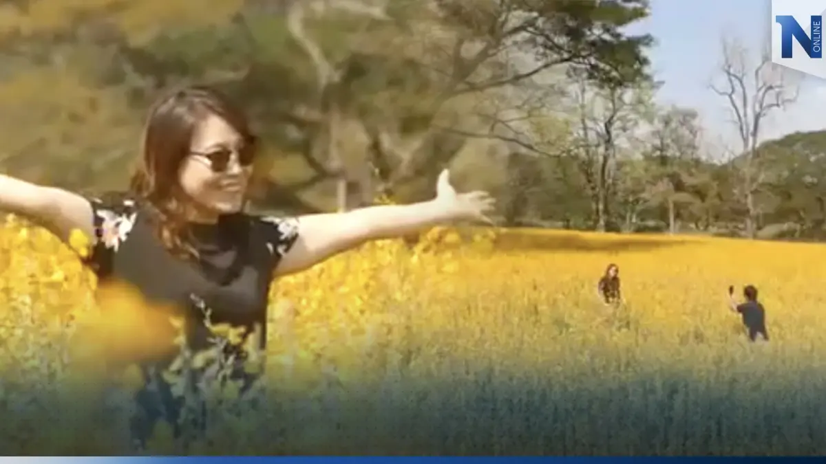 สายเที่ยวห้ามพลาด เตรียมกล้องถ่ายรูปกับทุ่งดอกปอเทือง อุโมงค์ประดู่แดง