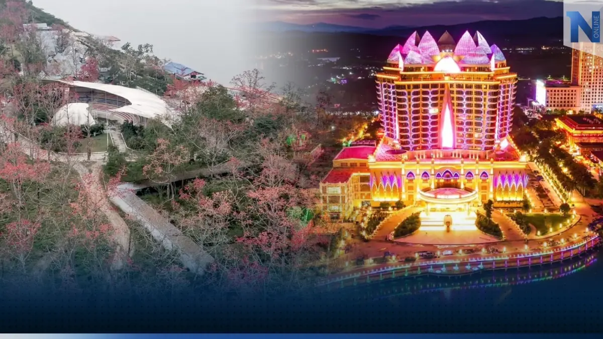 เชิญชวนม่วนจอยร่วมงาน "เทศกาลดอกงิ้วบาน" ครั้งที่ 20 ณ เขตเศรษฐกิจพิเศษสามเหลี่ยมทองคำ