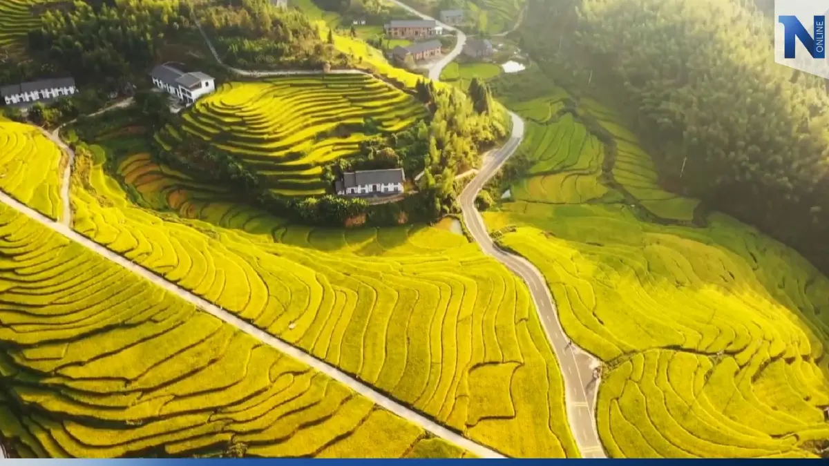 จีนตั้งเป้าเป็นมหาอำนาจด้านการเกษตร (คลิป) จีนตั้งเป้าเป็นมหาอำนาจด้านการเกษตร (คลิป)