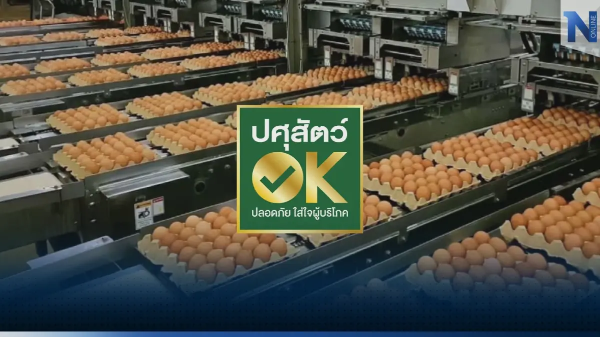 กรมปศุสัตว์การันตีไทยไร้ 'ไข่ปลอม' อย่าตื่นตระหนก