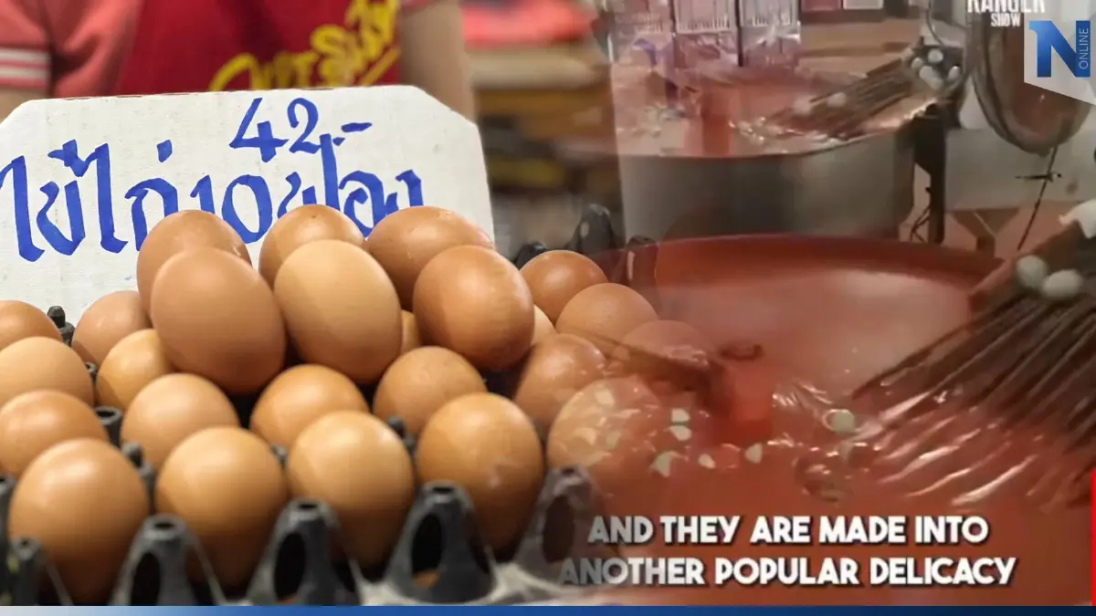 ข่าวปลอม! กรมปศุสัตว์ แจงคลิปไข่ปลอมจีนเข้าไทยไม่จริง ย้ำไทยมีไข่บริโภคพอ