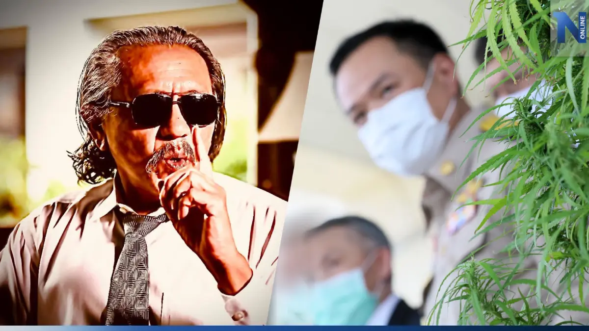 "ชูวิทย์" สับแหลกภูมิใจไทย ซัดนโยบาย"กัญชา" เลิกโฆษณาดีเกินเหตุ "ชูวิทย์" สับแหลกภูมิใจไทย ซัดนโยบาย"กัญชา" เลิกโฆษณาดีเกินเหตุ