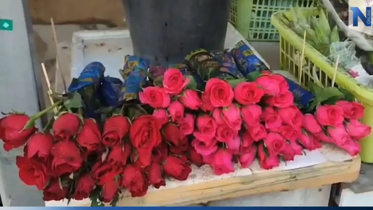 พ่อค้าดอกไม้ เผย กุหลาบแดงจ่อขาดตลาดช่วงวาเลนไทน์ พ่อค้าดอกไม้ เผย กุหลาบแดงจ่อขาดตลาดช่วงวาเลนไทน์