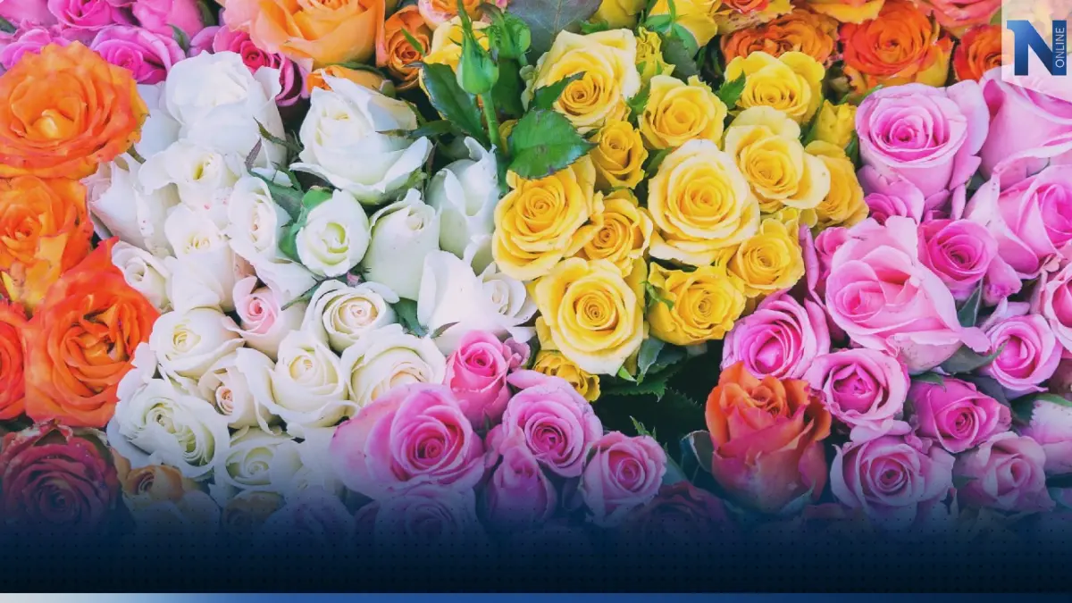 วาเลนไทน์ปีนี้ 'คึกคัก' ดอกไม้ราคาพุ่งเกือบ 3 เท่า!