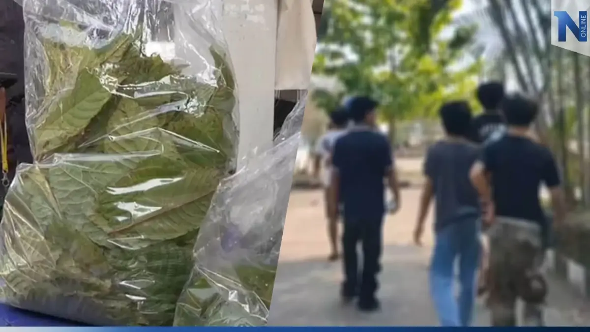 ศาลเยาวชนฯ ให้ประกัน 5 โจ๋ฟันน้ำนม ควงปืนปล้นใบกระท่อม ศาลเยาวชนฯ ให้ประกัน 5 โจ๋ฟันน้ำนม ควงปืนปล้นใบกระท่อม