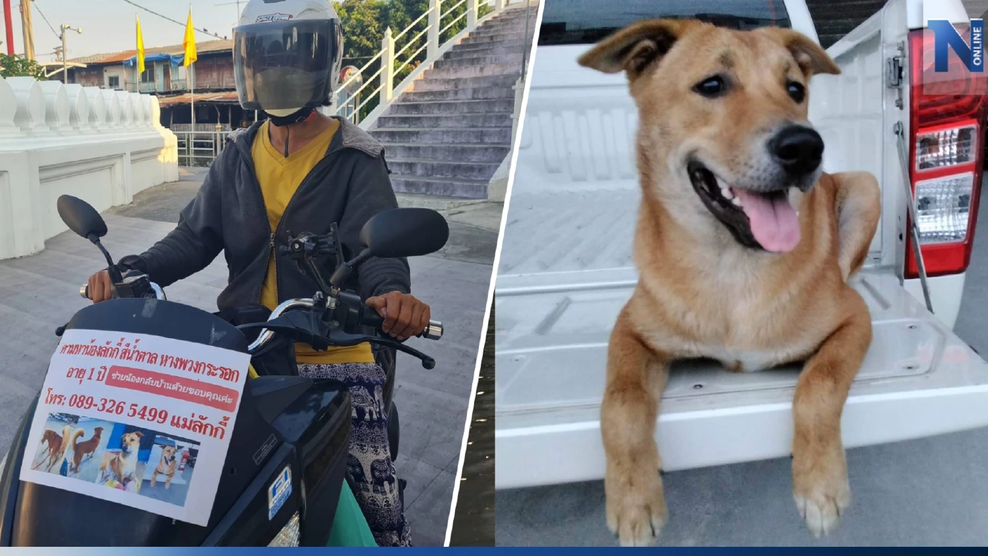 ป้าไม่ท้อตามหา“ลักกี้”สุนัขคู่ใจ มั่นใจยังมีชีวิตอยู่