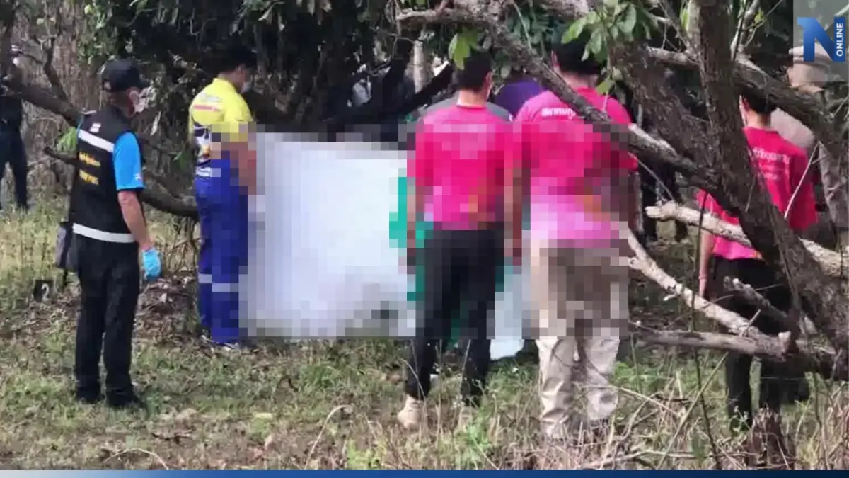 สะเทือนขวัญหนุ่มใหญ่ถูกเผานั่งยางมัดขาติดต้นลำไย