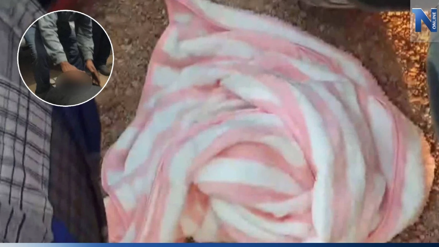 โอละพ่อ! แม่ค้าปลาทู กุเรื่องลักพาตัว หวังเงินใช้หนี้พนัน