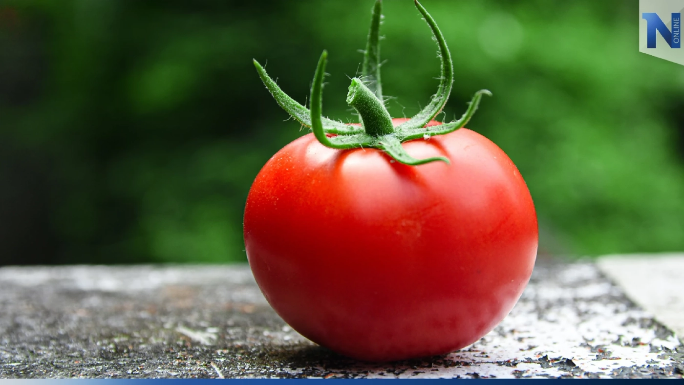 กิน ‘มะเขือเทศ’ ช่วยป้องกันมะเร็งและโรคหลอดเลือดหัวใจ