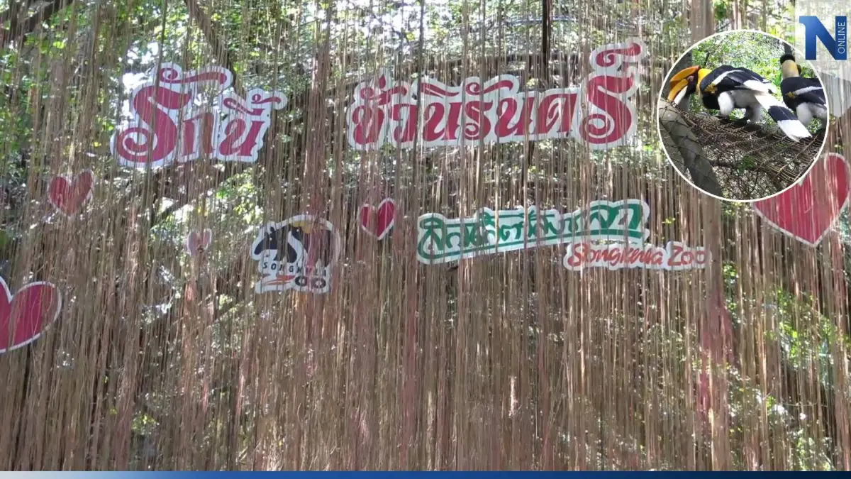 สวนสัตว์สงขลาเปิดงาน รักนี้ ชั่วนิรันดร์ ในวันรักษ์นกเงือกและวันแห่งความรัก