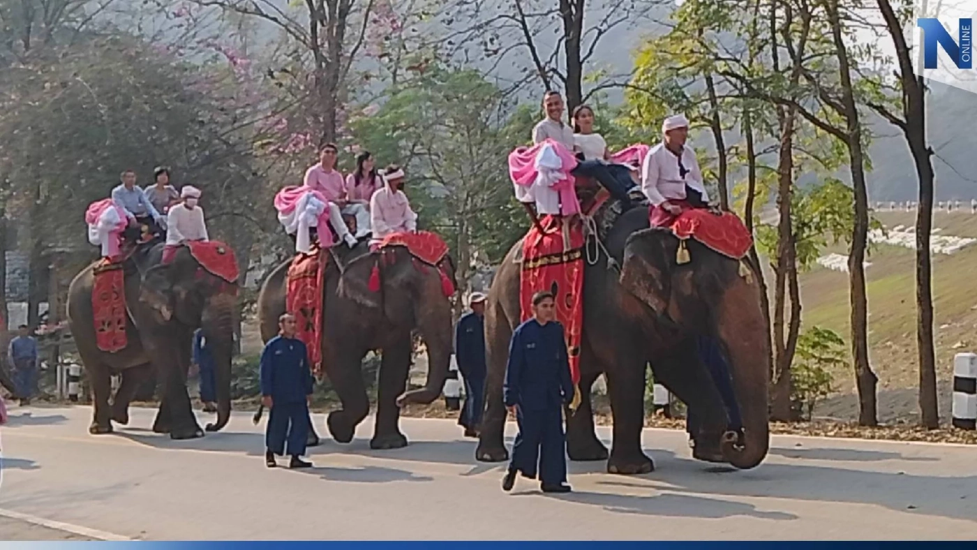 ลำปางจัดกิจกรรมแต่งงานบนหลังช้าง “รักเธอเท่าช้าง คชบาลสานรัก ปี 66” ลำปางจัดกิจกรรมแต่งงานบนหลังช้าง “รักเธอเท่าช้าง คชบาลสานรัก ปี 66”