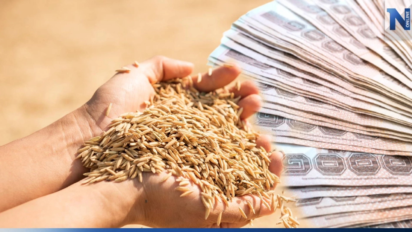 ชาวนารอเลย! พาณิชย์เคาะ เงินชดเชยราคาข้าว งวด 20 เตรียมโอนใน 3วัน