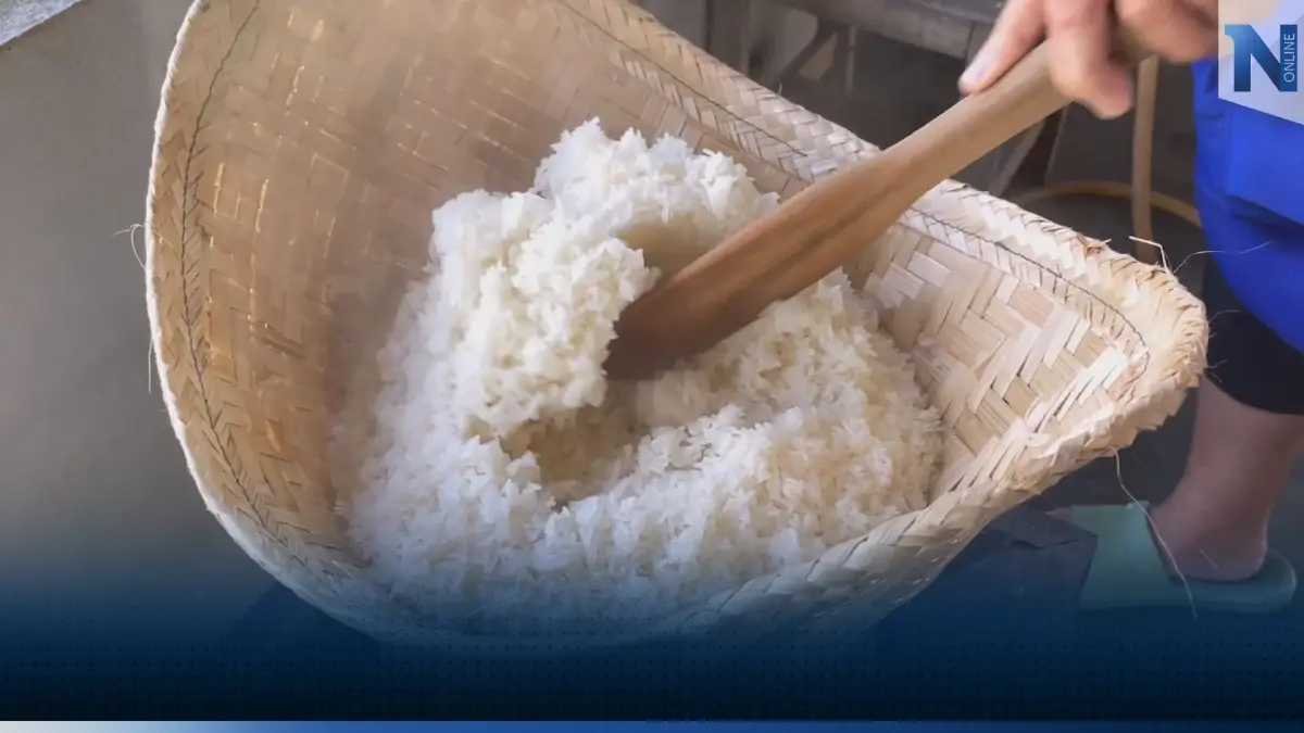 ข้าวเหนียวแก้วเมืองตรังโกยรายได้ 4 หมื่น/เดือน ข้าวเหนียวแก้วเมืองตรังโกยรายได้ 4 หมื่น/เดือน