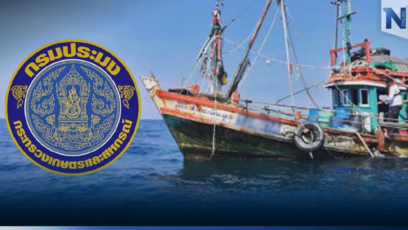 ประมง 'ปิดอ่าว' 3 เดือนเพื่อคุ้มครองแม่พันธุ์ปลาทู