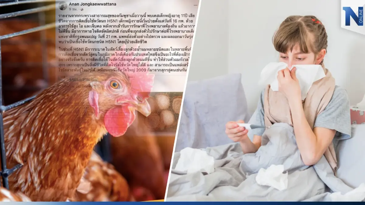 นักไวรัสวิทยา เตือนไทยเฝ้าระวังไข้หวัดนก H5N1 หลังกัมพูชาพบผู้เสียชีวิต นักไวรัสวิทยา เตือนไทยเฝ้าระวังไข้หวัดนก H5N1 หลังกัมพูชาพบผู้เสียชีวิต
