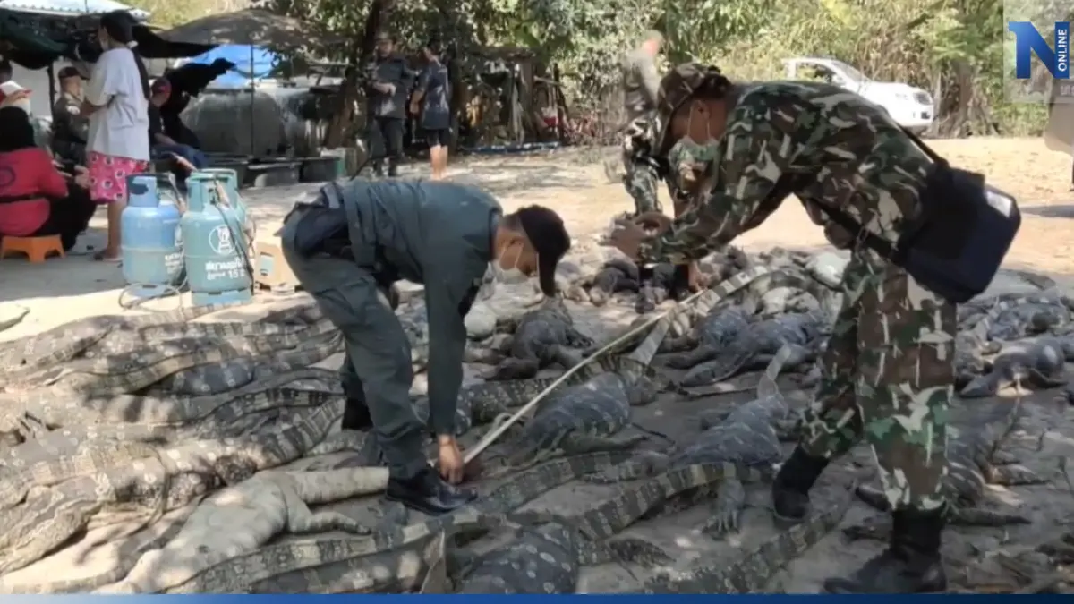 ผงะ! ปทส.ทลายแหล่งชำแหละตัวเงินตัวทอง เตรียมส่งขายตลาดชายแดนภาคตะวันออก