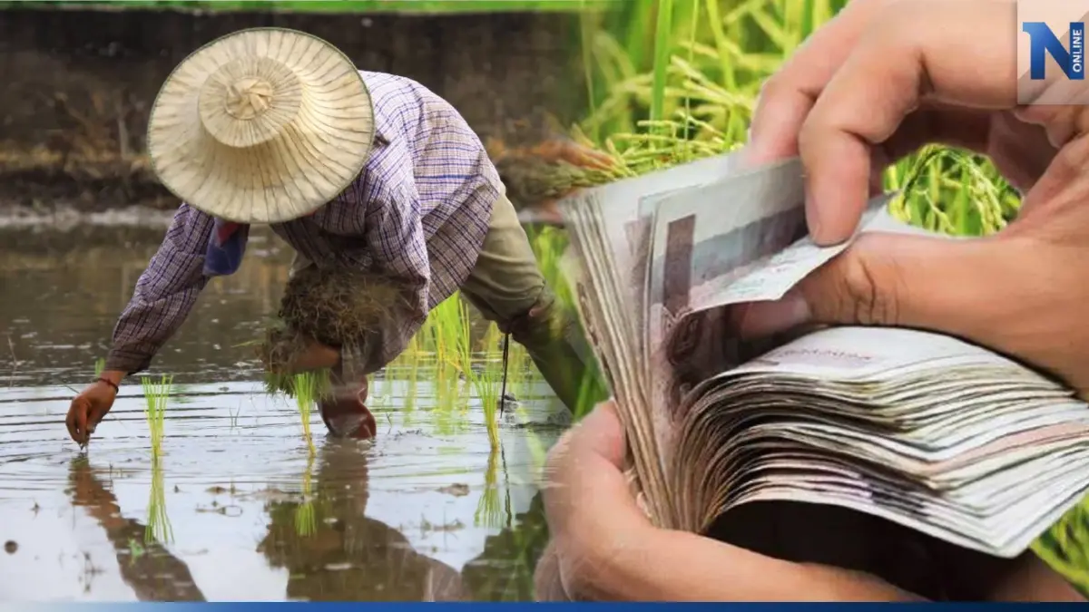 ผลโพลชี้ เกษตรกรอ่วม! รายได้สุทธิเหลือครัวเรือนละ 8 หมื่นบาทต่อปี