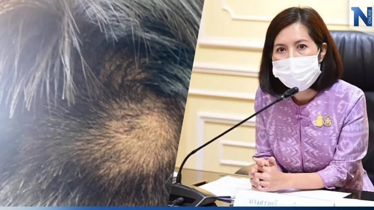 “ตรีนุช” สั่งสอบ ผอ.-ครู กล้อนผมนักเรียน ชี้ไม่เหมาะสม “ตรีนุช” สั่งสอบ ผอ.-ครู กล้อนผมนักเรียน ชี้ไม่เหมาะสม