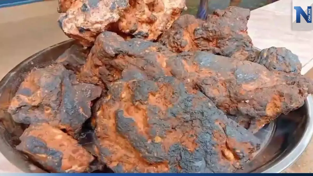 หนุ่มวัย 32 ขุดหน้าดินทำทาง พบหินประหลาดเชื่อเป็น "เหล็กไหล"