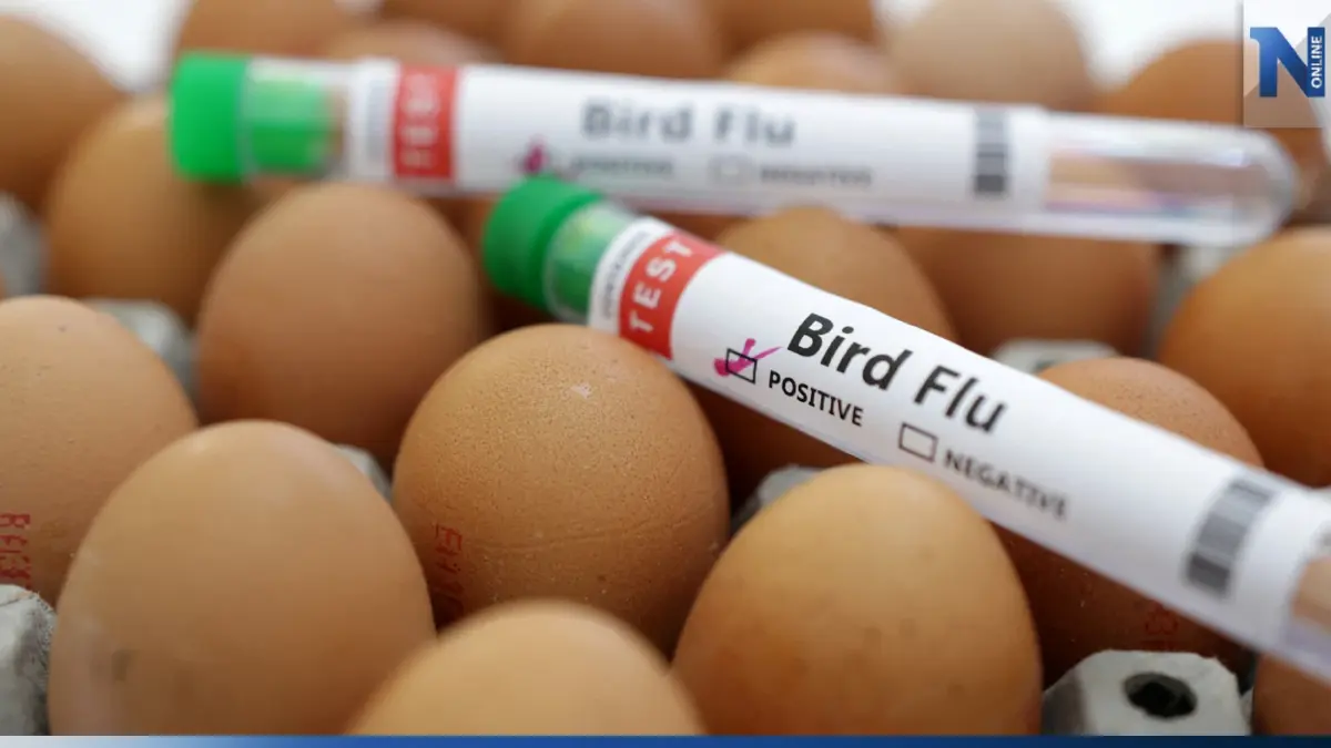 กรมอนามัย แนะปชช.อย่าตระหนก"ไข้หวัดนก" H5N1 ที่กัมพูชา พร้อมแนะวิธีป้องกัน