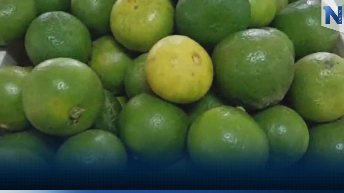 พาณิชย์ยอมรับอาจได้เห็น 'มะนาว' ลูกละ 7 บาทแน่ พาณิชย์ยอมรับอาจได้เห็น 'มะนาว' ลูกละ 7 บาทแน่