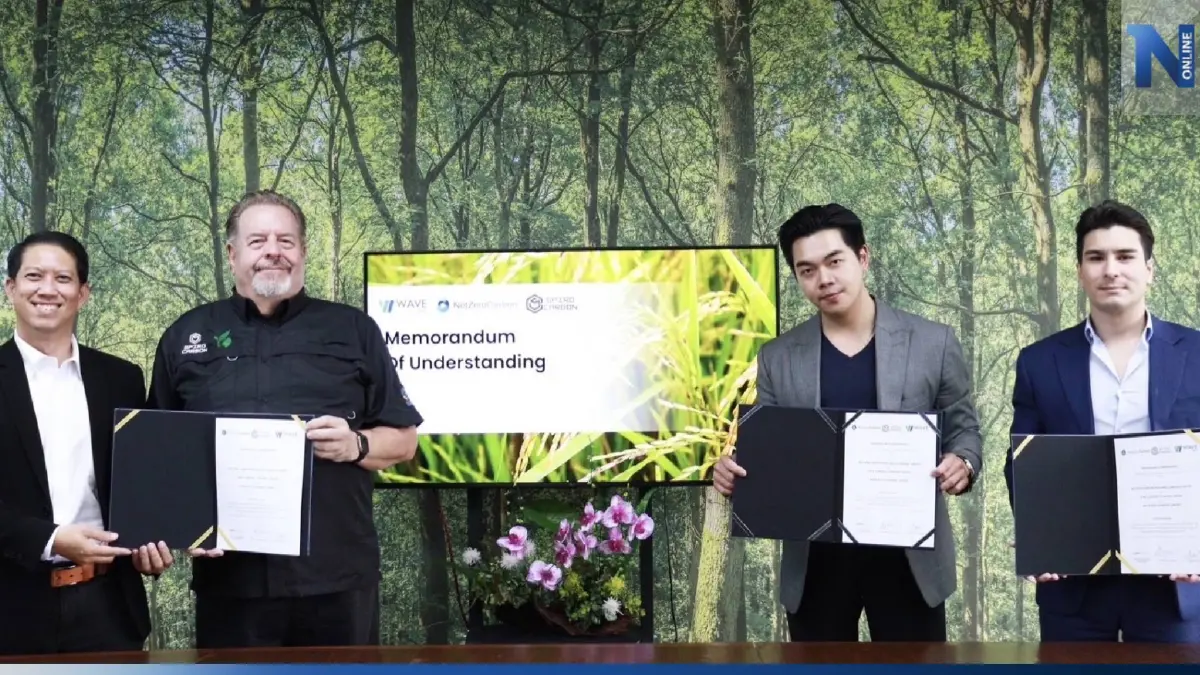 เวฟบีซีจีทดลอง "ปลูกข้าว" แนวใหม่ลดการปล่อยก๊าซเรือนกระจก