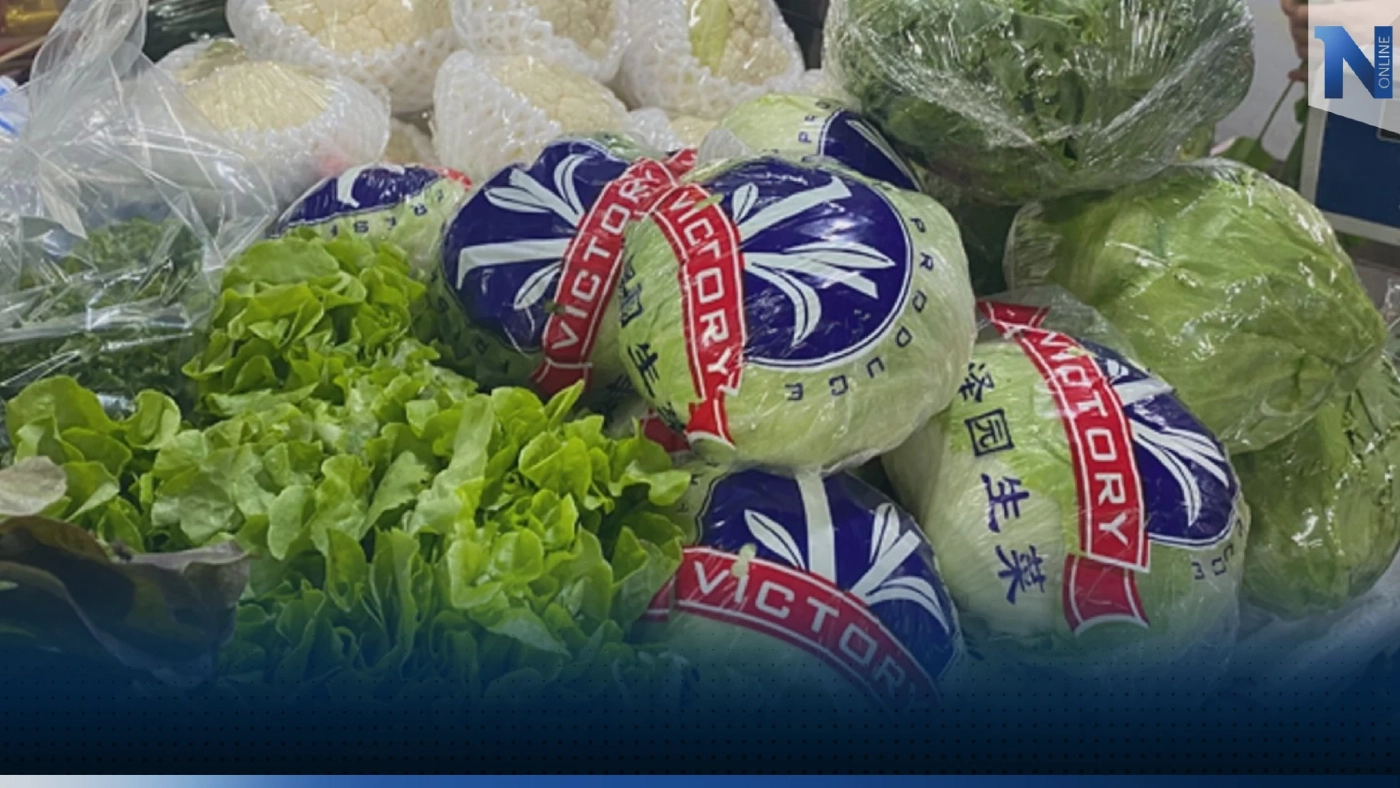 ผักจีน 'ตีตลาด' ไทย ราคาผักเมืองหนาวในประเทศตกต่ำ