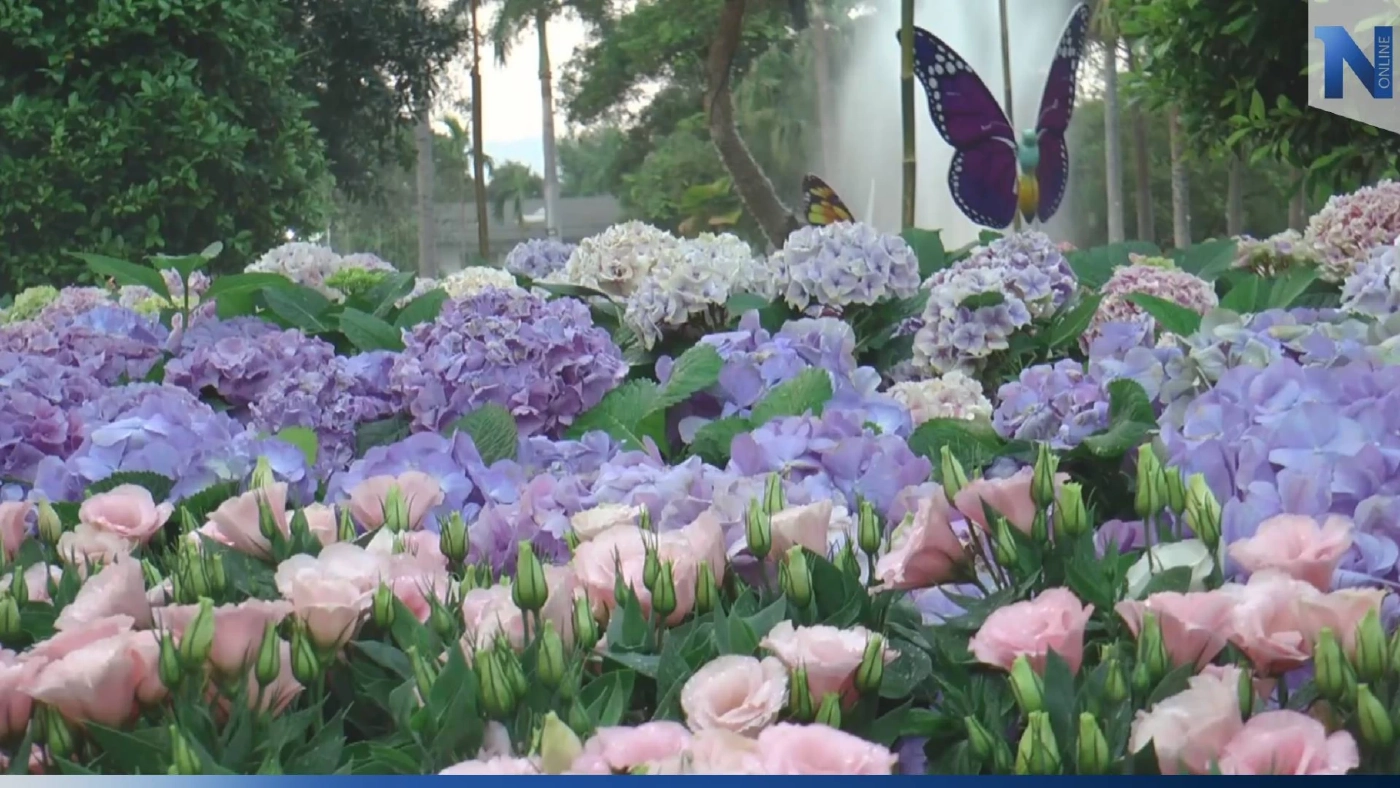 ชวนเที่ยวงานมหกรรมไม้ดอกไม้ประดับเชียงใหม่ 2566 ททท. คาดเงินสะพัดกว่า 900 ล.