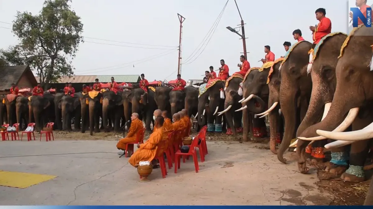 13 มีนาคม "วันช้างไทย" วังช้างอยุธยาฯ จัดเต็มเลี้ยงโต๊ะจีนช้าง กว่า 80 เชือก
