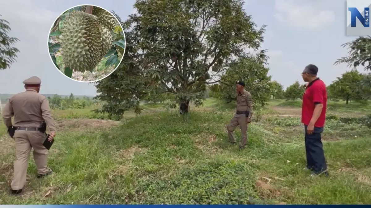 โรงพักแรกของไทย! ทำโครงการฝากทุเรียนไว้กับตำรวจกันถูกขโมย