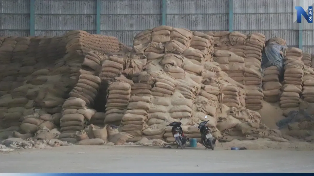 โรงสีทวงค่าเช่าโกดัง อคส. 300 ล. ทิ้งข้าว 8 ปี จนเน่า ไม่จ่ายเงินไม่เอาออก