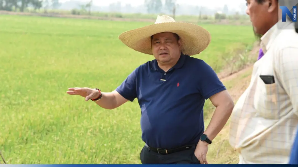 "กรมการข้าว" ชูชาวนาใช้จุลินทรีย์-สาหร่ายแกมเขียว ปลูกข้าว​ ลดสารเคมี​