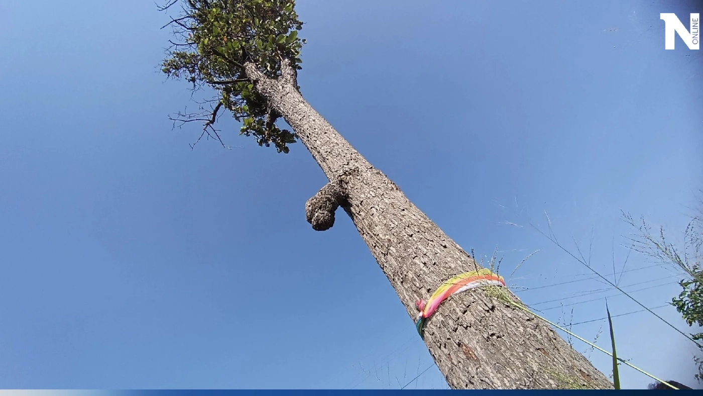 รวมเลขเด็ดเลขดัง หวยงวด1/4/66 เลขเด็ดนายก เลขปฏิทินจีน เลขไหนมาแรงจัดมาครบ 