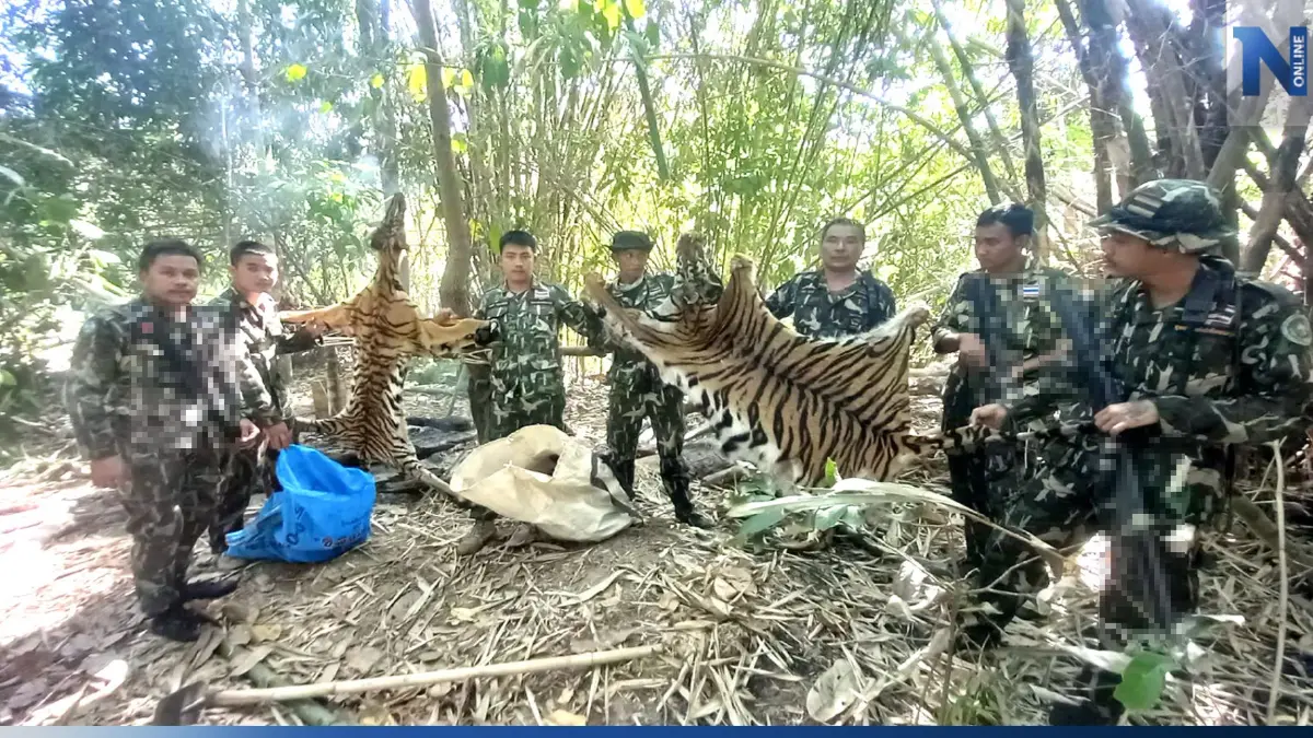 เปิดคำพิพากษา ศาลทองผาภูมิ สั่งจำคุก 5 นายพราน คดีเสือโคร่ง เปิดคำพิพากษา ศาลทองผาภูมิ สั่งจำคุก 5 นายพราน คดีเสือโคร่ง