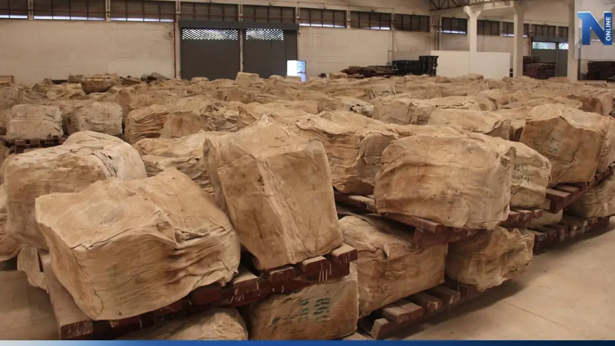 รุกฆาตสวนยางทั่วประเทศ 20 ล้านไร่ สู่มาตรฐานสากล รุกฆาตสวนยางทั่วประเทศ 20 ล้านไร่ สู่มาตรฐานสากล