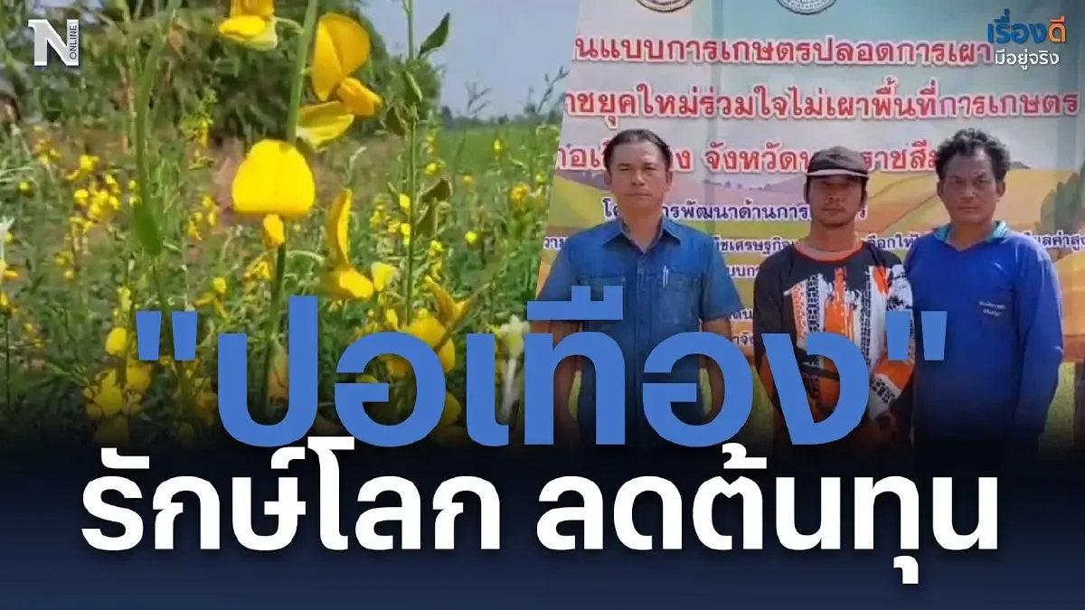 ปลูก “ปอเทือง” รักษ์โลก ลดปุ๋ย ลดต้นทุน