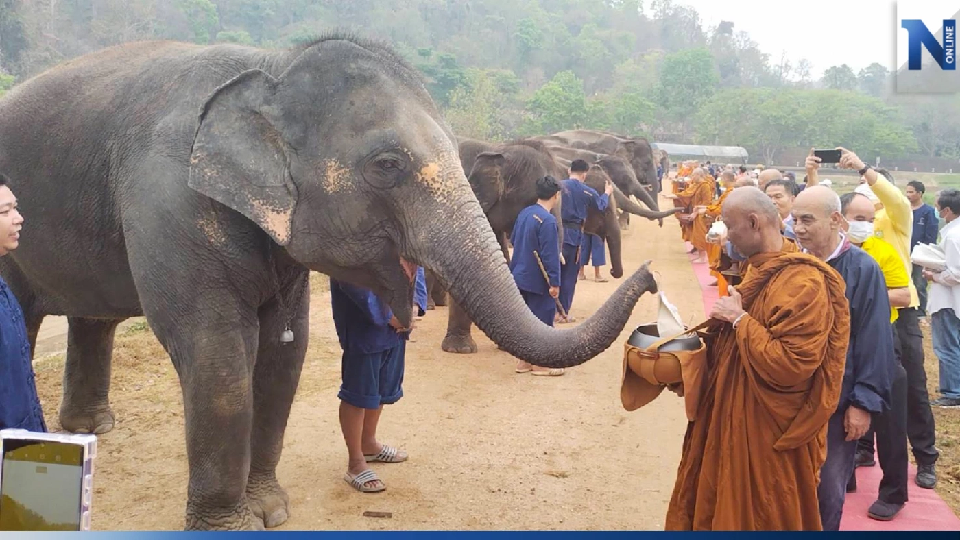 ศูนย์อนุรักษ์ช้างไทยลำปาง ทำบุญ“วันช้างไทย”ให้ช้าง-ควาญช้างที่ล่วงลับ