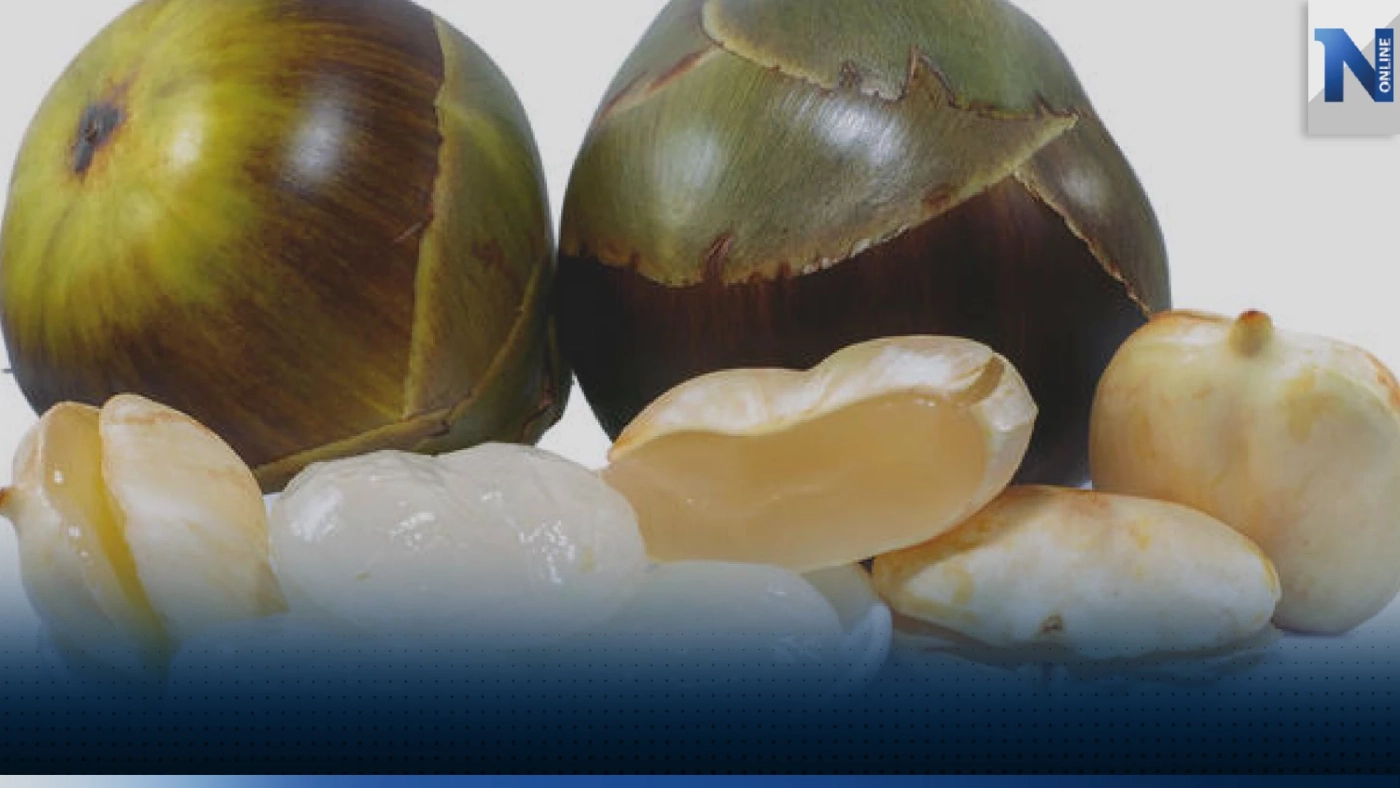 ขาย 'ลูกตาลสด' ช่วงหน้าแล้งโกยเงินหลักหมื่นบาท!