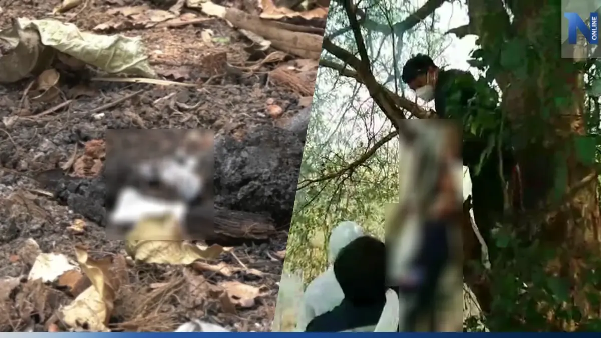 เร่งไขปริศนา สามีผูกคอ ภรรยาหายตัวไร้ร่องรอย ล่าสุดพบกองกระดูก เร่งตรวจสอบ เร่งไขปริศนา สามีผูกคอ ภรรยาหายตัวไร้ร่องรอย ล่าสุดพบกองกระดูก เร่งตรวจสอบ