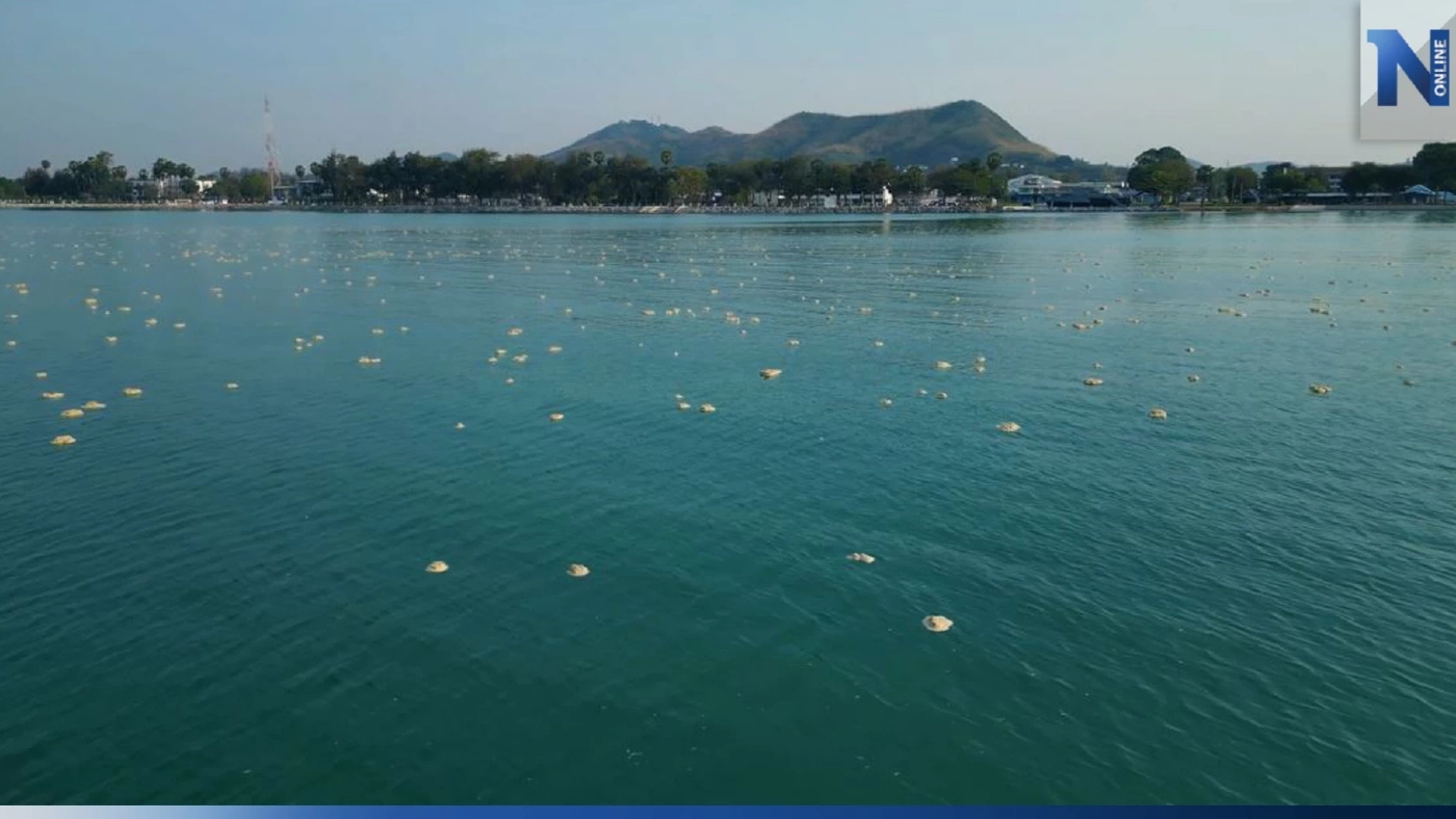 ฮือฮา "ปรากฏการณ์ดินทรายลอยทะเล" ลอยทั่วอ่าวดงตาลสัตหีบ