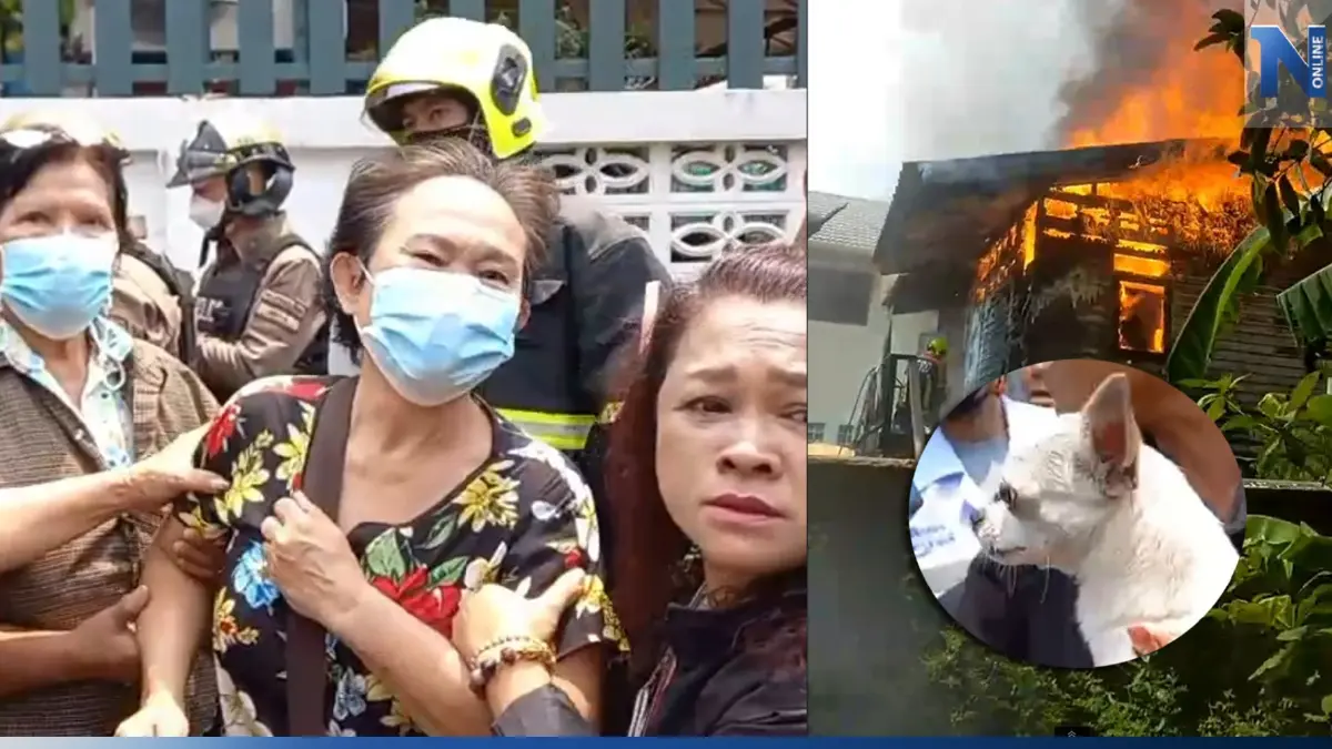 3 น้องหมารอด อีก 4 สูญหาย กองเพลิงวอดบ้าน ย่านวุฒากาศ