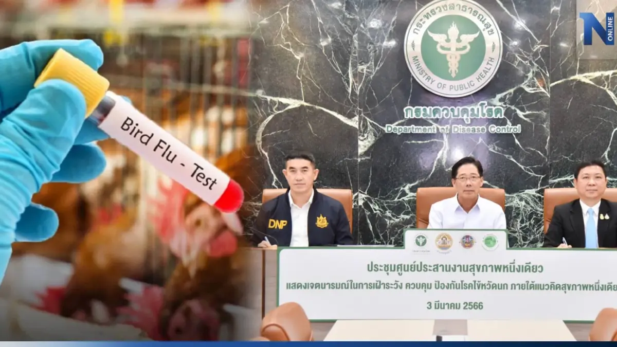 กรมปศุสัตว์ จับมือพันธมิตร ประกาศเฝ้าระวัง-ป้องกัน "โรคไข้หวัดนก"