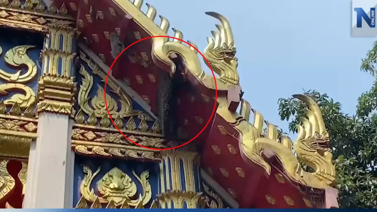 อุทาหรณ์งานบวช ผึ้งตกใจเสียงรถแห่ ต่อยชาวบ้าน เจ็บระนาว อุทาหรณ์งานบวช ผึ้งตกใจเสียงรถแห่ ต่อยชาวบ้าน เจ็บระนาว