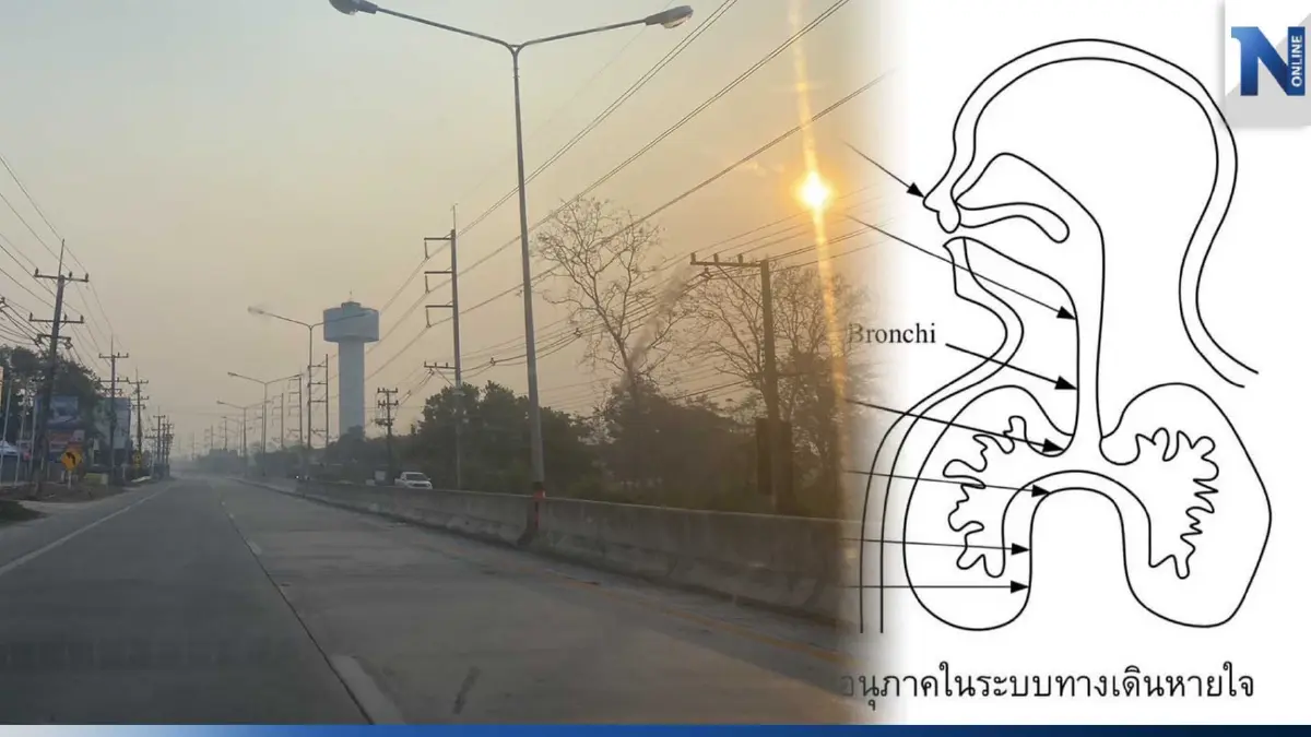 นักวิจัย ชี้ 80 เปอร์เซ็นต์ PM 2.5 มีขนาดเล็กกว่า 0.3 ไมครอน เข้าสู่กระแสเลือดได้