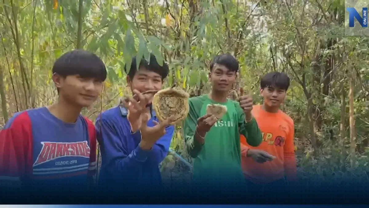 โจ๋โคราชออกหา 'รังผึ้ง' สร้างรายได้เสริมเลี้ยงชีพ