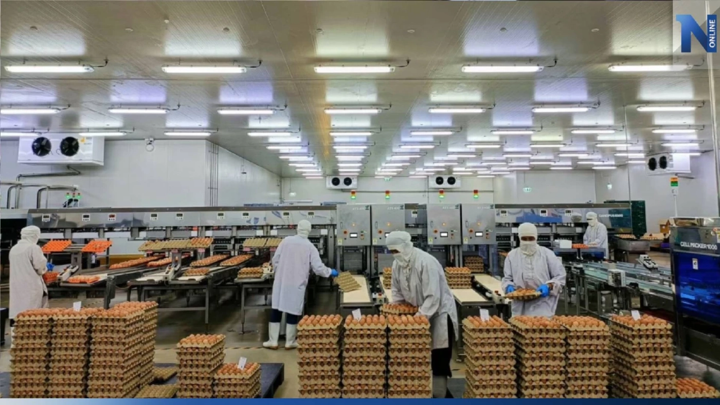 ข่าวดี! ไต้หวันรับซื้อ ไข่ไก่ไทย ประเดิมส่งล็อตแรก 5-8 ล้านฟอง ภายใน มี.ค. 66